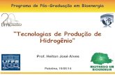 Tecnologias de Produção de Hidrogênio - Prof. Helton José Alves
