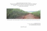 Utilização de Adubação Verde na cultura da Cana-de-Açúcar
