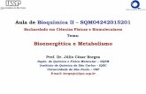 Aula de Bioquímica II – SQM04242015201 Bioenergética e ...