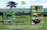 Plano de Ação Nacional para Conservação dos Primatas do Nordeste