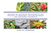 perfil da cadeia produtiva das flores e plantas ornamentais do ...