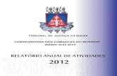 Relatório Anual CCI - site - 2012