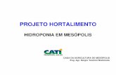 O Projeto Hortalimento E A Experiência De Cultivo Em Hidroponia ...
