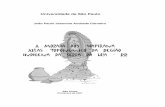 A morada dos Wapixana: Atlas toponímico da região indígena da ...