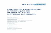 leilões de exploração e produção de petróleo e gás natural no brasil