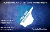 TSG 1899 Hoffenheim- Modelo de jogo