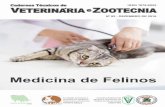 caderno tecnico 82 medicina de felino.pdf