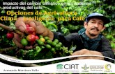 Impacto del cambio climático en las cadenas productivas del café