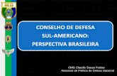 O Conselho de Defesa Sul-americano: situação atual e perspectivas