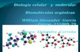Biología celular   y  molecular