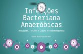 Infecções bacteriana anaeróbicas lapec