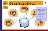 2EM #31 Seis sentidos (2016)
