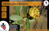 2EM #09 Botânica: intro (2016)