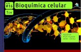 1EM #16 Bioquímica Celular (2016)