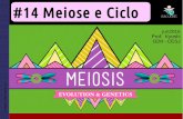 1EM #14 Meiose e Ciclo