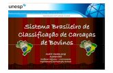 Sistema Brasileiro de Classificação de Carcaças f ç ode r ç de Bovinos