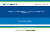 BS 29 Principais empresas e grupos brasileiros_P.pdf