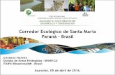 Corredor Ecológico de Santa Maria Paraná - Brasil