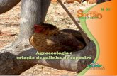 galinha capoeira gráfica1 s ISBN