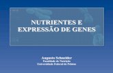 NUTRIENTES E EXPRESSÃO DE GENES