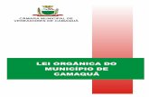 Lei orgânica do município de Camaquã