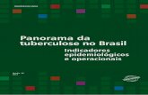 Panorama da tuberculose no Brasil: indicadores epidemiológicos e ...