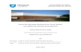 Universidade de Lisboa Instituto Superior Técnico Centro de ...