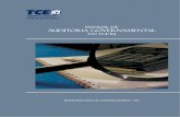Manual de auditoria governamental - TCE-RJ