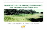 Manejo de Plantas Daninhas em Pomares Cítricos