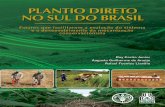 Plantio direto no Sul do Brasil