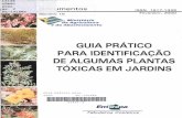 GUIA PRATICO PARA IDENTIFICACAO DE ALGUMAS PLANTAS ...
