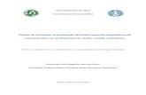 Dissertação de Mestrado - Ana Margarida Neves.pdf
