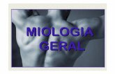 Módulo 3 - Anatomia - Miologia Geral