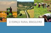 O espaço rural no Brasil (características) -7º ANO (2016)