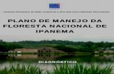 PLANO DE MANEJO DA FLORESTA NACIONAL DE IPANEMA