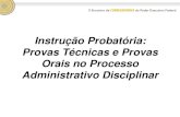Instrução Probatória: Provas Técnicas e Provas Orais no Processo ...