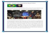 Comic  Con Experience  Brasil 2016- O maior evento de cultura pop da América Latina
