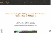 Complete Slide Set in Portuguese