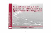 Abreu et al. (2001) - Dinâmicas geomorfológicas (...) avaliação da ...
