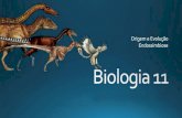 Biologia 11 (origem e evolução   endossimbiose)