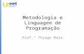 Metodologia e Linguagem de Programação - 2016.2 - Aula 11