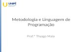 Metodologia e Linguagem de Programação - 2016.2 - Aula 10