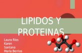 Lipidos y proteínas "Química"