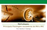 Nefrologia   Principais Patologias Causadoras de IRA e IRC