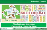 Aula 08   fisiologia da nutrição - sistema muscular
