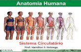 Aula 10   sistema circulatório - anatomia e fisiologia