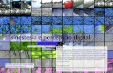 Sinestesia e percepção digital - Sergio Basbaum