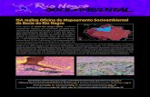 Boletim Rio Negro Socioambiental