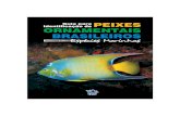 Guia para identificação de peixes ornamentais brasileiros