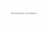 Metabolismo e diversidade de microrganismos